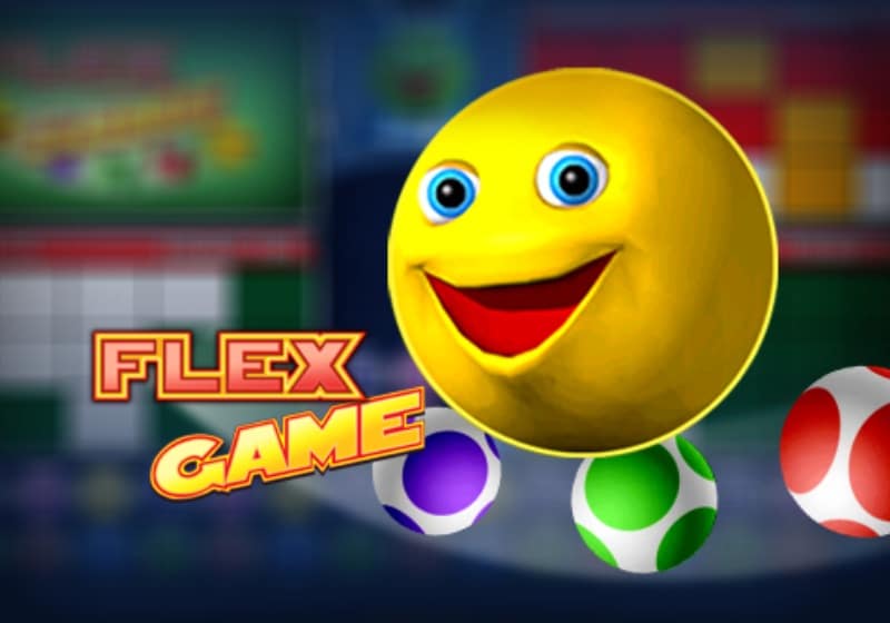 Flex Game Slot