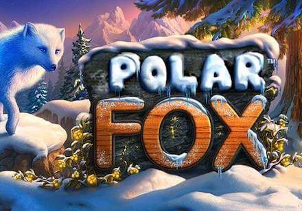 Polar Fox Slot