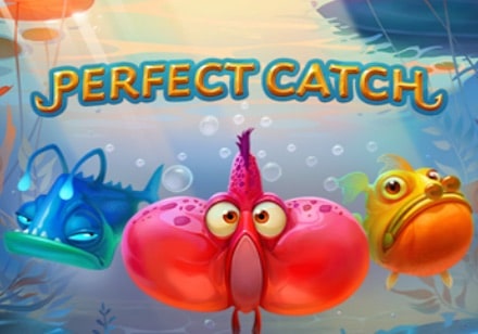 Perfect catch Slot