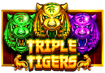 Triple Tigers Slot