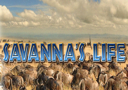Savanna's Life Slot